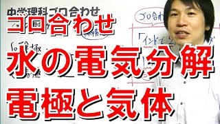 中学理科 ゴロ合わせ 消化液と消化酵素 勉強 Youtube スタディチューブ